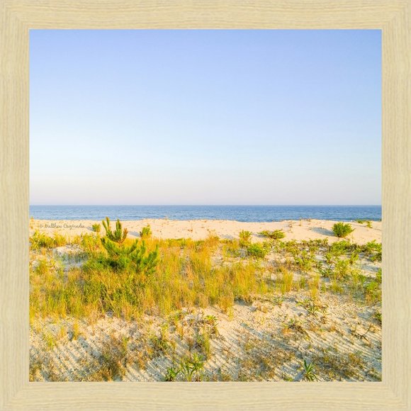 The Dunes - Picture 1 of 2